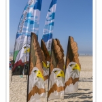 Rencontres Internationnales de Cerfs-Volants 2018 à Berck-sur-mer