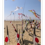 Rencontres Internationnales de Cerfs-Volants 2018 à Berck-sur-mer