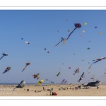 Rencontres Internationnales de Cerfs-Volants 2018 à Berck-sur-mer