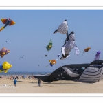 Rencontres Internationnales de Cerfs-Volants 2018 à Berck-sur-mer