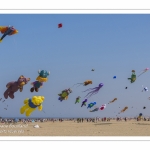 Rencontres Internationnales de Cerfs-Volants 2018 à Berck-sur-mer