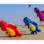 Rencontres Internationnales de Cerfs-Volants 2018 à Berck-sur-mer