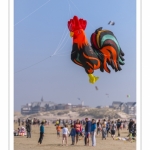 Rencontres Internationnales de Cerfs-Volants 2018 à Berck-sur-mer