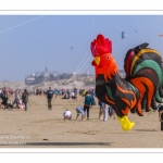 Rencontres Internationnales de Cerfs-Volants 2018 à Berck-sur-mer