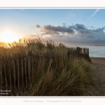 Baie_authie_07_11_2016_001-border