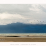 Plage_Berck_07_11_2016_004-border