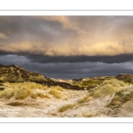 La plage de Quend en hiver