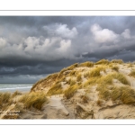 La plage de Quend en hiver