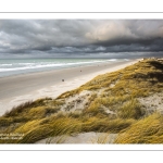 La plage de Quend en hiver