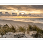 La plage de Quend en hiver