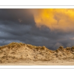 La plage de Quend en hiver