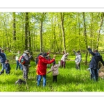 Sur les pas du chevreuil aux bois d'argent - Bettina Lanchais - Festival de l'oiseau