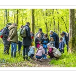 Sur les pas du chevreuil aux bois d'argent - Bettina Lanchais - Festival de l'oiseau