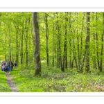 Sur les pas du chevreuil aux bois d'argent - Bettina Lanchais - Festival de l'oiseau