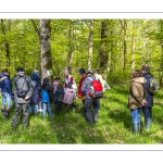 Sur les pas du chevreuil aux bois d'argent - Bettina Lanchais - Festival de l'oiseau