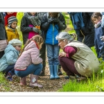 Sur les pas du chevreuil aux bois d'argent - Bettina Lanchais - Festival de l'oiseau