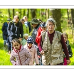 Sur les pas du chevreuil aux bois d'argent - Bettina Lanchais - Festival de l'oiseau