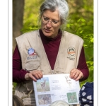 Sur les pas du chevreuil aux bois d'argent - Bettina Lanchais - Festival de l'oiseau