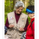 Sur les pas du chevreuil aux bois d'argent - Bettina Lanchais - Festival de l'oiseau