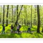 Sur les pas du chevreuil aux bois d'argent - Bettina Lanchais - Festival de l'oiseau