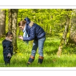 Sur les pas du chevreuil aux bois d'argent - Bettina Lanchais - Festival de l'oiseau