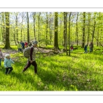 Sur les pas du chevreuil aux bois d'argent - Bettina Lanchais - Festival de l'oiseau