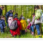 Sur les pas du chevreuil aux bois d'argent - Bettina Lanchais - Festival de l'oiseau