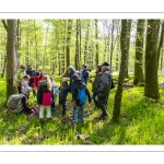 Sur les pas du chevreuil aux bois d'argent - Bettina Lanchais - Festival de l'oiseau