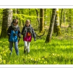 Sur les pas du chevreuil aux bois d'argent - Bettina Lanchais - Festival de l'oiseau