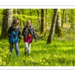 Sur les pas du chevreuil aux bois d'argent - Bettina Lanchais - Festival de l'oiseau