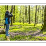 Sur les pas du chevreuil aux bois d'argent - Bettina Lanchais - Festival de l'oiseau