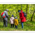 Sur les pas du chevreuil aux bois d'argent - Bettina Lanchais - Festival de l'oiseau