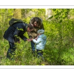 Sur les pas du chevreuil aux bois d'argent - Bettina Lanchais - Festival de l'oiseau