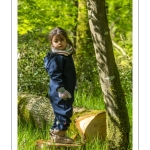 Sur les pas du chevreuil aux bois d'argent - Bettina Lanchais - Festival de l'oiseau