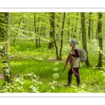 Sur les pas du chevreuil aux bois d'argent - Bettina Lanchais - Festival de l'oiseau