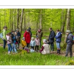 Sur les pas du chevreuil aux bois d'argent - Bettina Lanchais - Festival de l'oiseau