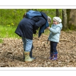 Sur les pas du chevreuil aux bois d'argent - Bettina Lanchais - Festival de l'oiseau