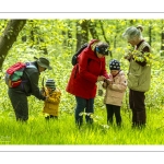 Sur les pas du chevreuil aux bois d'argent - Bettina Lanchais - Festival de l'oiseau