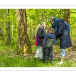 Sur les pas du chevreuil aux bois d'argent - Bettina Lanchais - Festival de l'oiseau