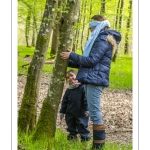 Sur les pas du chevreuil aux bois d'argent - Bettina Lanchais - Festival de l'oiseau