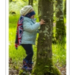 Sur les pas du chevreuil aux bois d'argent - Bettina Lanchais - Festival de l'oiseau