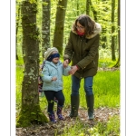 Sur les pas du chevreuil aux bois d'argent - Bettina Lanchais - Festival de l'oiseau