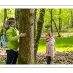 Sur les pas du chevreuil aux bois d'argent - Bettina Lanchais - Festival de l'oiseau