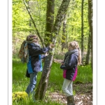 Sur les pas du chevreuil aux bois d'argent - Bettina Lanchais - Festival de l'oiseau