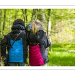 Sur les pas du chevreuil aux bois d'argent - Bettina Lanchais - Festival de l'oiseau