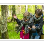 Sur les pas du chevreuil aux bois d'argent - Bettina Lanchais - Festival de l'oiseau