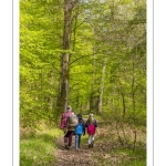 Sur les pas du chevreuil aux bois d'argent - Bettina Lanchais - Festival de l'oiseau