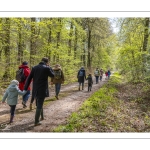 Sur les pas du chevreuil aux bois d'argent - Bettina Lanchais - Festival de l'oiseau