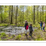 Sur les pas du chevreuil aux bois d'argent - Bettina Lanchais - Festival de l'oiseau