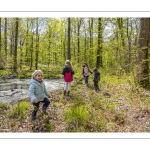 Sur les pas du chevreuil aux bois d'argent - Bettina Lanchais - Festival de l'oiseau